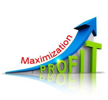 Expert business services to maximize profits